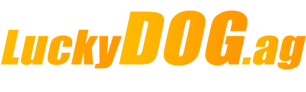 Sportsbook